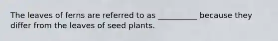 The leaves of ferns are referred to as __________ because they differ from the leaves of seed plants.