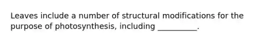 Leaves include a number of structural modifications for the purpose of photosynthesis, including __________.