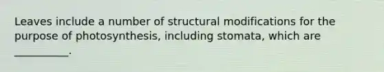 Leaves include a number of structural modifications for the purpose of photosynthesis, including stomata, which are __________.