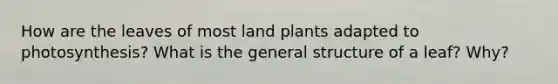 How are the leaves of most land plants adapted to photosynthesis? What is the general structure of a leaf? Why?