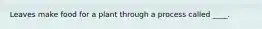 Leaves make food for a plant through a process called ____.