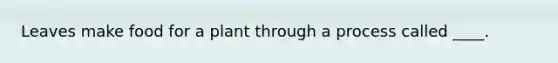 Leaves make food for a plant through a process called ____.