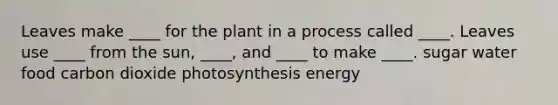 Leaves make ____ for the plant in a process called ____. Leaves use ____ from the sun, ____, and ____ to make ____. sugar water food carbon dioxide photosynthesis energy