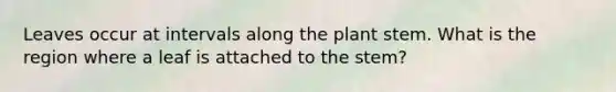Leaves occur at intervals along the plant stem. What is the region where a leaf is attached to the stem?