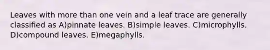 Leaves with more than one vein and a leaf trace are generally classified as A)pinnate leaves. B)simple leaves. C)microphylls. D)compound leaves. E)megaphylls.