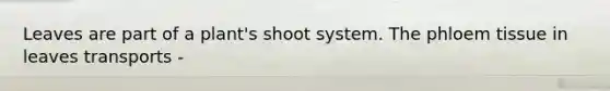 Leaves are part of a plant's shoot system. The phloem tissue in leaves transports -
