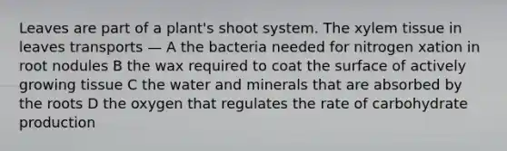 Leaves are part of a plant's shoot system. The xylem tissue in leaves transports — A the bacteria needed for nitrogen xation in root nodules B the wax required to coat the surface of actively growing tissue C the water and minerals that are absorbed by the roots D the oxygen that regulates the rate of carbohydrate production