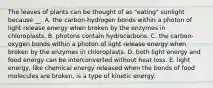 The leaves of plants can be thought of as "eating" sunlight because __. A. the carbon-hydrogen bonds within a photon of light release energy when broken by the enzymes in chloroplasts. B. photons contain hydrocarbons. C. the carbon-oxygen bonds within a photon of light release energy when broken by the enzymes in chloroplasts. D. both light energy and food energy can be interconverted without heat loss. E. light energy, like chemical energy released when the bonds of food molecules are broken, is a type of kinetic energy.