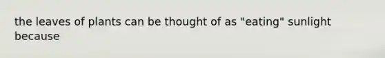 the leaves of plants can be thought of as "eating" sunlight because