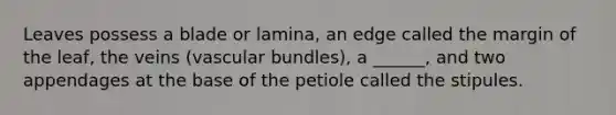 Leaves possess a blade or lamina, an edge called the margin of the leaf, the veins (vascular bundles), a ______, and two appendages at the base of the petiole called the stipules.