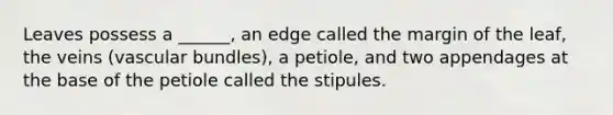 Leaves possess a ______, an edge called the margin of the leaf, the veins (vascular bundles), a petiole, and two appendages at the base of the petiole called the stipules.