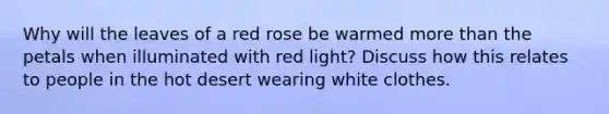 Why will the leaves of a red rose be warmed more than the petals when illuminated with red light? Discuss how this relates to people in the hot desert wearing white clothes.