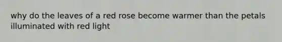 why do the leaves of a red rose become warmer than the petals illuminated with red light