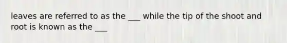 leaves are referred to as the ___ while the tip of the shoot and root is known as the ___