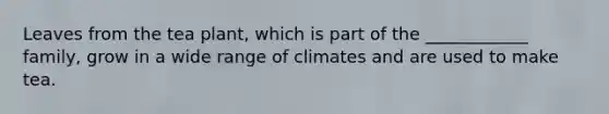 Leaves from the tea plant, which is part of the ____________ family, grow in a wide range of climates and are used to make tea.