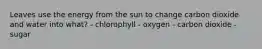 Leaves use the energy from the sun to change carbon dioxide and water into what? - chlorophyll - oxygen - carbon dioxide - sugar