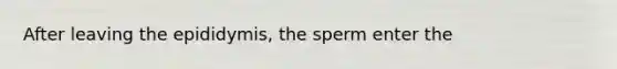 After leaving the epididymis, the sperm enter the