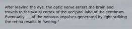 After leaving the eye, the optic nerve enters the brain and travels to the visual cortex of the occipital lobe of the cerebrum. Eventually, __ of the nervous impulses generated by light striking the retina results in "seeing."