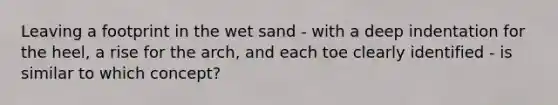 Leaving a footprint in the wet sand - with a deep indentation for the heel, a rise for the arch, and each toe clearly identified - is similar to which concept?