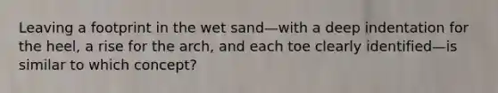 Leaving a footprint in the wet sand—with a deep indentation for the heel, a rise for the arch, and each toe clearly identified—is similar to which concept?