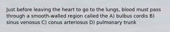 Just before leaving the heart to go to the lungs, blood must pass through a smooth-walled region called the A) bulbus cordis B) sinus venosus C) conus arteriosus D) pulmonary trunk