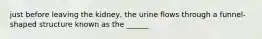 just before leaving the kidney, the urine flows through a funnel-shaped structure known as the ______