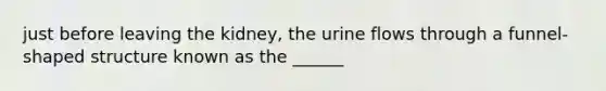 just before leaving the kidney, the urine flows through a funnel-shaped structure known as the ______