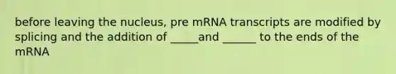 before leaving the nucleus, pre mRNA transcripts are modified by splicing and the addition of _____and ______ to the ends of the mRNA