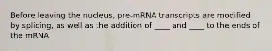 Before leaving the nucleus, pre-mRNA transcripts are modified by splicing, as well as the addition of ____ and ____ to the ends of the mRNA