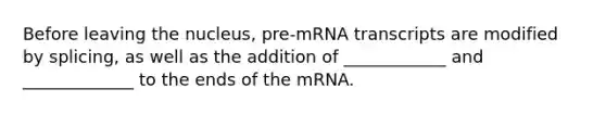 Before leaving the nucleus, pre-mRNA transcripts are modified by splicing, as well as the addition of ____________ and _____________ to the ends of the mRNA.