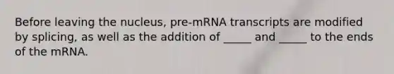 Before leaving the nucleus, pre-mRNA transcripts are modified by splicing, as well as the addition of _____ and _____ to the ends of the mRNA.