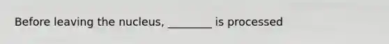 Before leaving the nucleus, ________ is processed