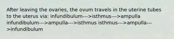 After leaving the ovaries, the ovum travels in the uterine tubes to the uterus via: infundibulum--->isthmus--->ampulla infundibulum--->ampulla--->isthmus isthmus--->ampulla--->infundibulum