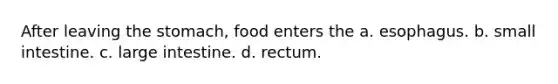 After leaving <a href='https://www.questionai.com/knowledge/kLccSGjkt8-the-stomach' class='anchor-knowledge'>the stomach</a>, food enters the a. esophagus. b. small intestine. c. large intestine. d. rectum.