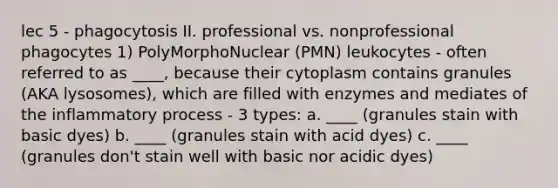 lec 5 - phagocytosis II. professional vs. nonprofessional phagocytes 1) PolyMorphoNuclear (PMN) leukocytes - often referred to as ____, because their cytoplasm contains granules (AKA lysosomes), which are filled with enzymes and mediates of the inflammatory process - 3 types: a. ____ (granules stain with basic dyes) b. ____ (granules stain with acid dyes) c. ____ (granules don't stain well with basic nor acidic dyes)