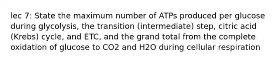 lec 7: State the maximum number of ATPs produced per glucose during glycolysis, the transition (intermediate) step, citric acid (Krebs) cycle, and ETC, and the grand total from the complete oxidation of glucose to CO2 and H2O during cellular respiration