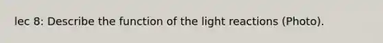 lec 8: Describe the function of the light reactions (Photo).