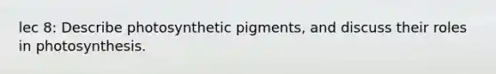 lec 8: Describe photosynthetic pigments, and discuss their roles in photosynthesis.