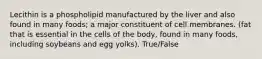 Lecithin is a phospholipid manufactured by the liver and also found in many foods; a major constituent of cell membranes. (fat that is essential in the cells of the body, found in many foods, including soybeans and egg yolks). True/False