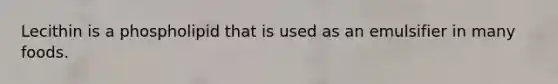 Lecithin is a phospholipid that is used as an emulsifier in many foods.