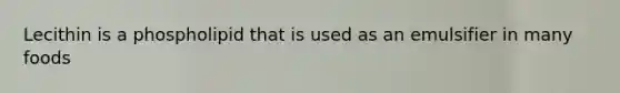 Lecithin is a phospholipid that is used as an emulsifier in many foods