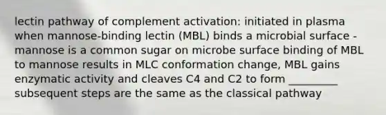 lectin pathway of complement activation: initiated in plasma when mannose-binding lectin (MBL) binds a microbial surface - mannose is a common sugar on microbe surface binding of MBL to mannose results in MLC conformation change, MBL gains enzymatic activity and cleaves C4 and C2 to form _________ subsequent steps are the same as the classical pathway