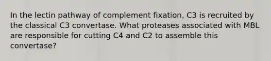 In the lectin pathway of complement fixation, C3 is recruited by the classical C3 convertase. What proteases associated with MBL are responsible for cutting C4 and C2 to assemble this convertase?