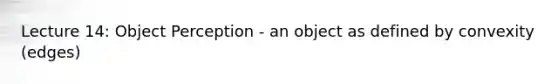 Lecture 14: Object Perception - an object as defined by convexity (edges)