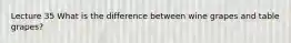 Lecture 35 What is the difference between wine grapes and table grapes?