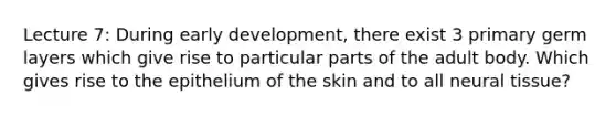 Lecture 7: During early development, there exist 3 primary germ layers which give rise to particular parts of the adult body. Which gives rise to the epithelium of the skin and to all neural tissue?