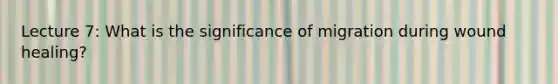 Lecture 7: What is the significance of migration during wound healing?