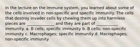 In the lecture on the immune system, you learned about some of the cells involved in non-specific and specific immunity. The cells that destroy invader cells by chewing them up into harmless pieces are ______________ and they are part of ___________ immunity. a. B cells; specific immunity b. B cells; non-specific immunity c. Macrophages; specific immunity d. Macrophages; non-specific immunity