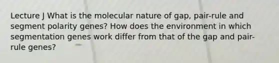 Lecture J What is the molecular nature of gap, pair-rule and segment polarity genes? How does the environment in which segmentation genes work differ from that of the gap and pair-rule genes?