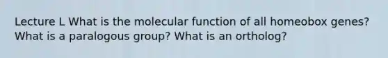 Lecture L What is the molecular function of all homeobox genes? What is a paralogous group? What is an ortholog?